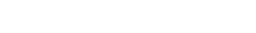 ANKODE Consulting